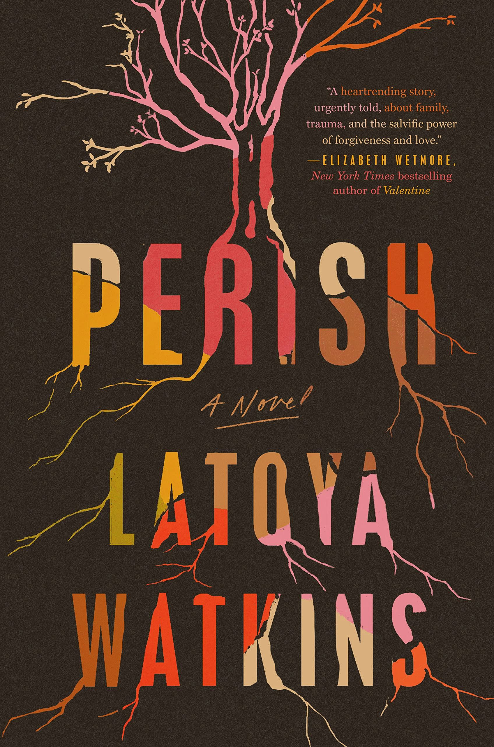 &lsquo;Perish&rsquo; by LaToya Watkins