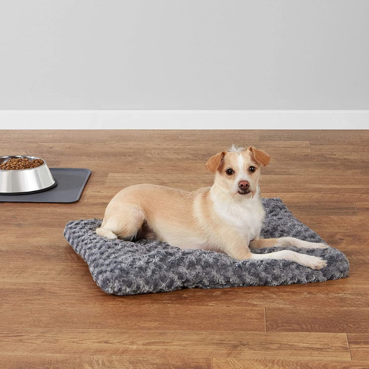 Amazon Basics Plush Dog Bed