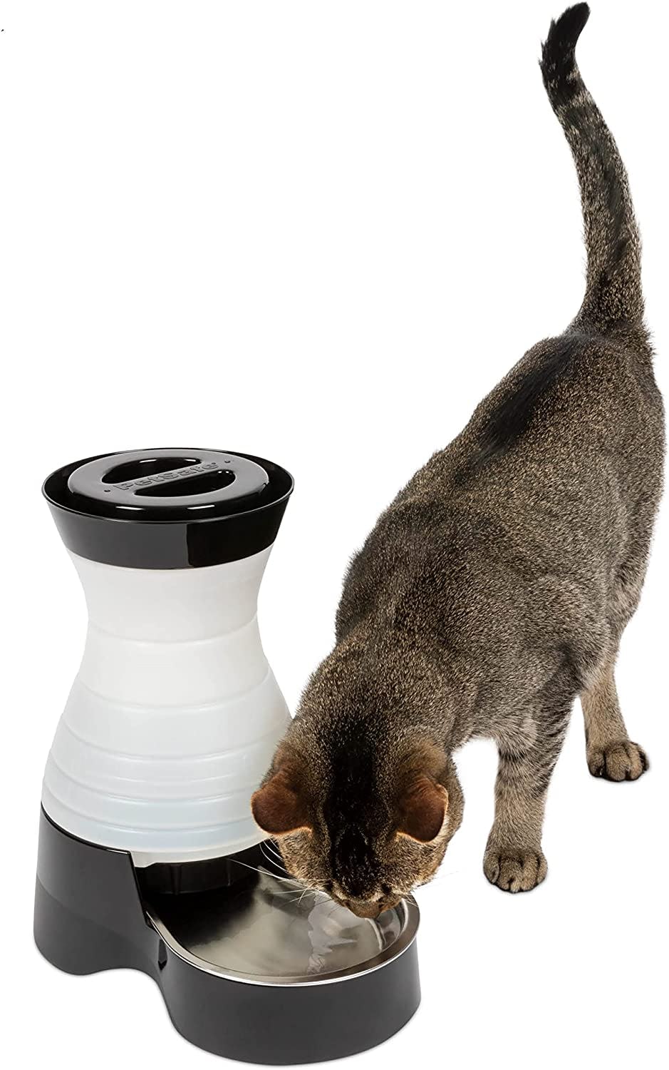 PetSafe Automatic Pet Water Station