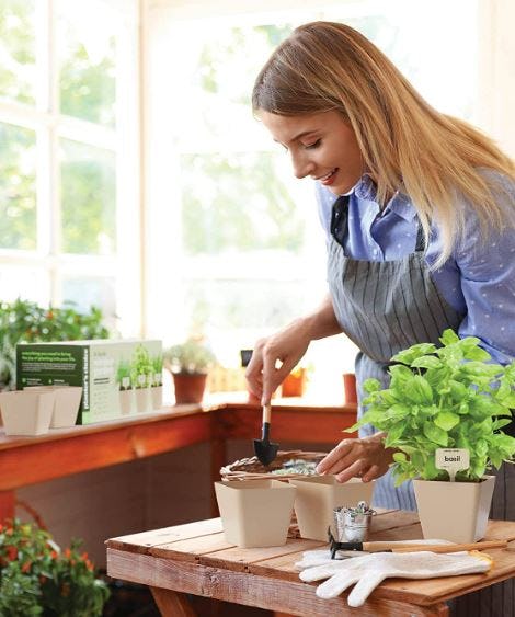 Planter&rsquo;s 9-Herb Window Garden