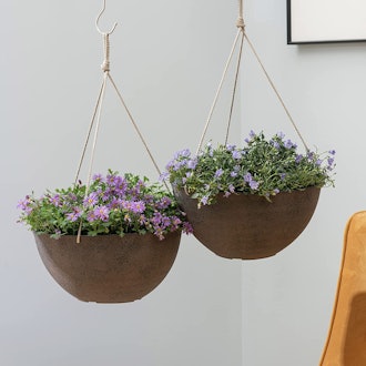 La Jolíe Muse Hanging Planters (2-Pack)