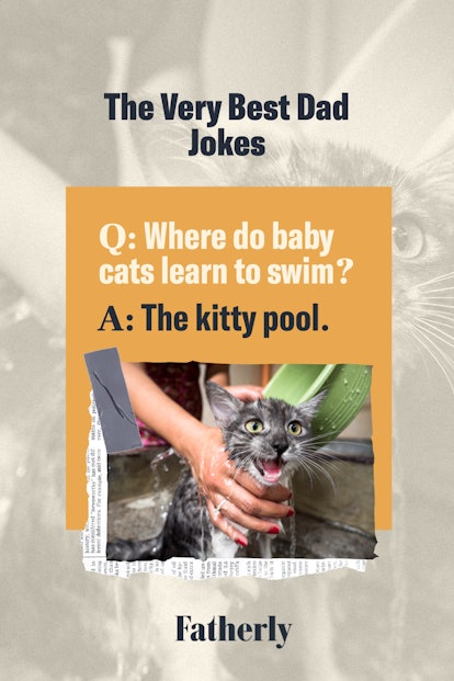 The Very Best Dad Jokes: Where do baby cats learn to swim?