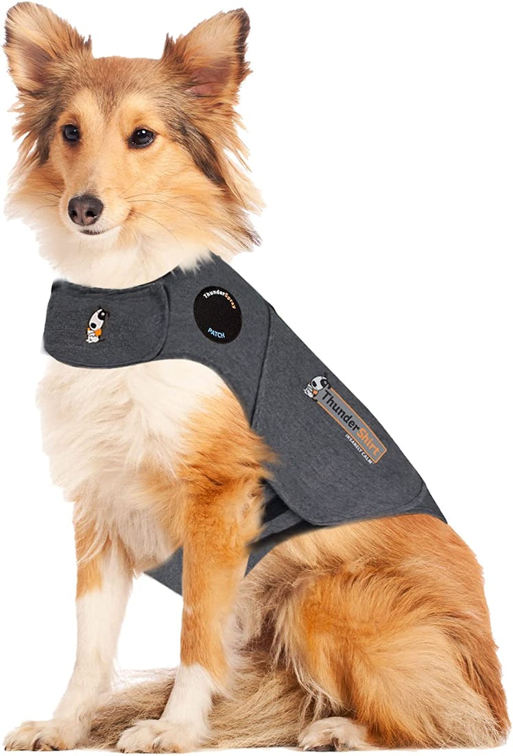 Thundershirt Anxiety Jacket