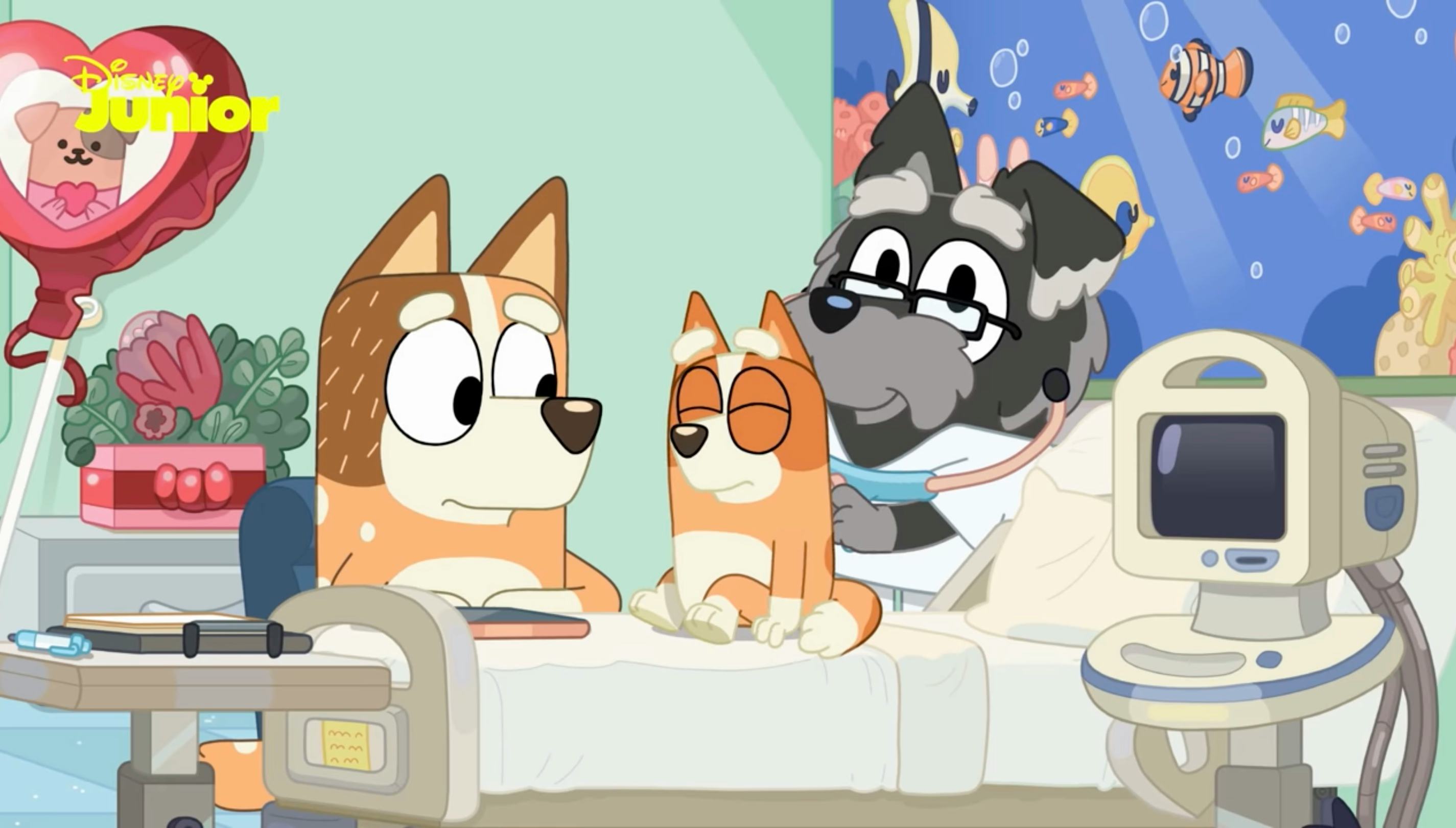 What Kind Of Dog Is Bluey? A Guide To Every Breed In The Show