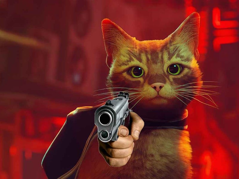 Stray keyart but the cat has a gun