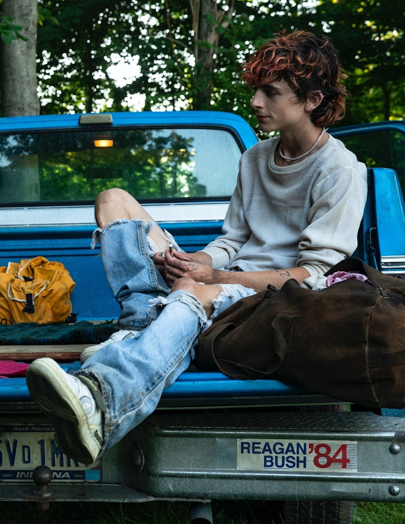 Timothée Chalamet with pink-streaked hair in a still from ‘Bones and All’