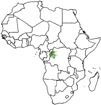 The central Congo peatlands are highlighted in green.
