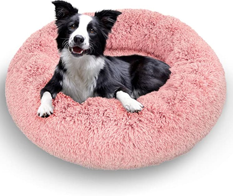 Active Pets Plush Calming Dog Bed