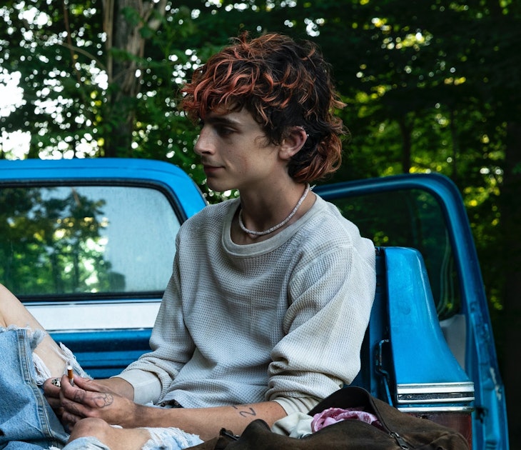 Timothée Chalamet dyes his hair red for 'Bones and All' movie