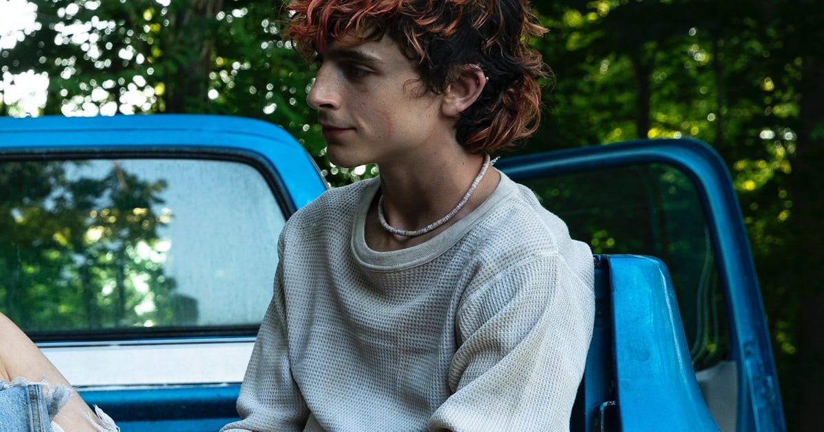 Timothée Chalamet Got a Grungy Makeover For Guadagnino's 'Bones