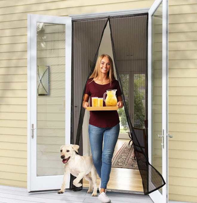 Flux Phenom Magnetic Screen Door