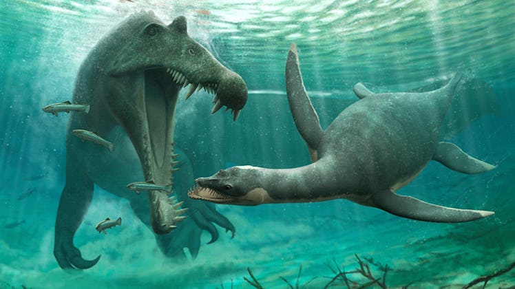 a sharp toothed marine reptile goes after a small plesiosaur