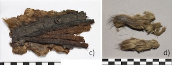 Fur samples from Viking graves in Denmark