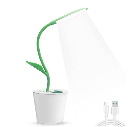 iEGrow Kids Desk Lamp