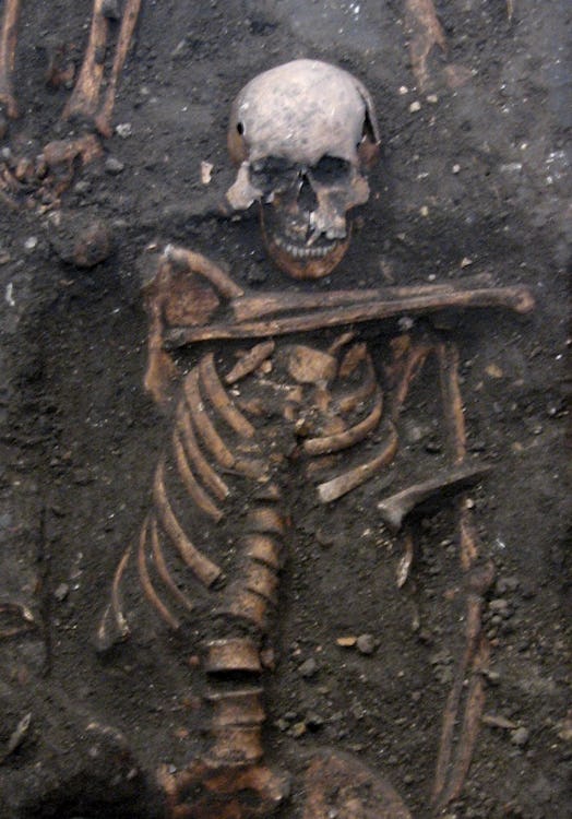 A half-uncovered skeleton in the mud.