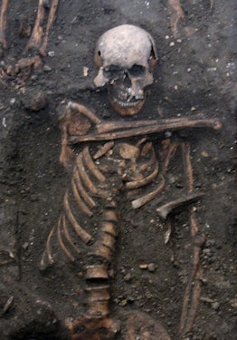 A half-uncovered skeleton in the mud.