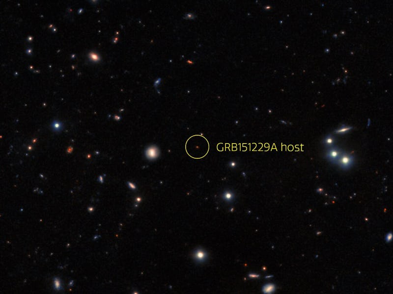 The GRB 151229A