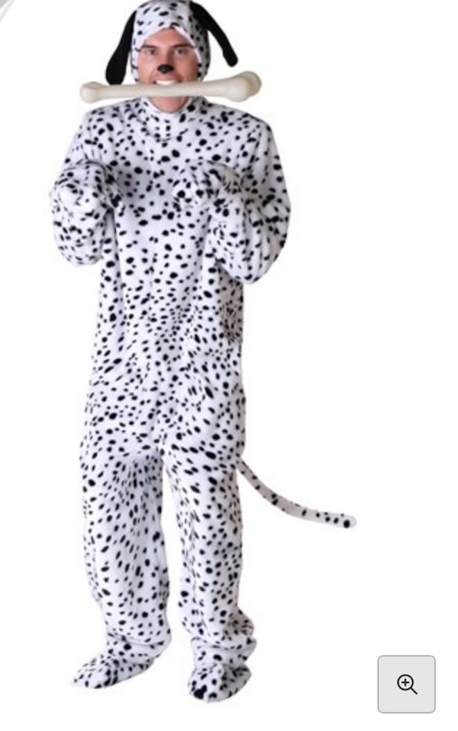 Dalmatian Dog Costume