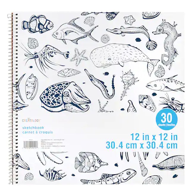 If your kid likes sketching sea creatures, this cute sketchbook is perfect for them.