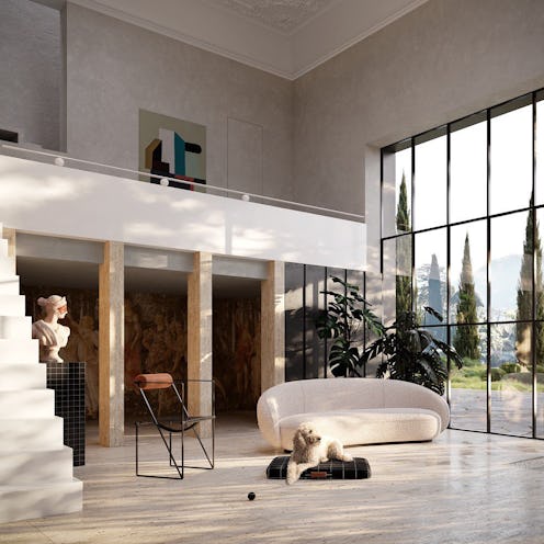 A Dog Lies in His Bed in a Minimally Designed Living Room