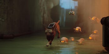 'Stray' ending explained: How the game sets up a potential sequel