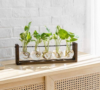 Mkono Plant Terrarium with Wooden Stand