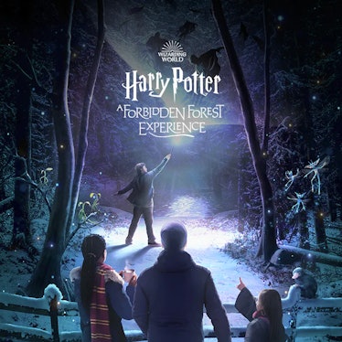 This Harry Potter Forbidden Forest experience is coming to the United States.