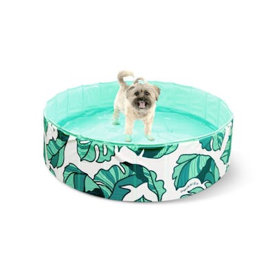 Best Dog Pools Of 2022 10 Durable Kiddie Pools To Keep Your Pup