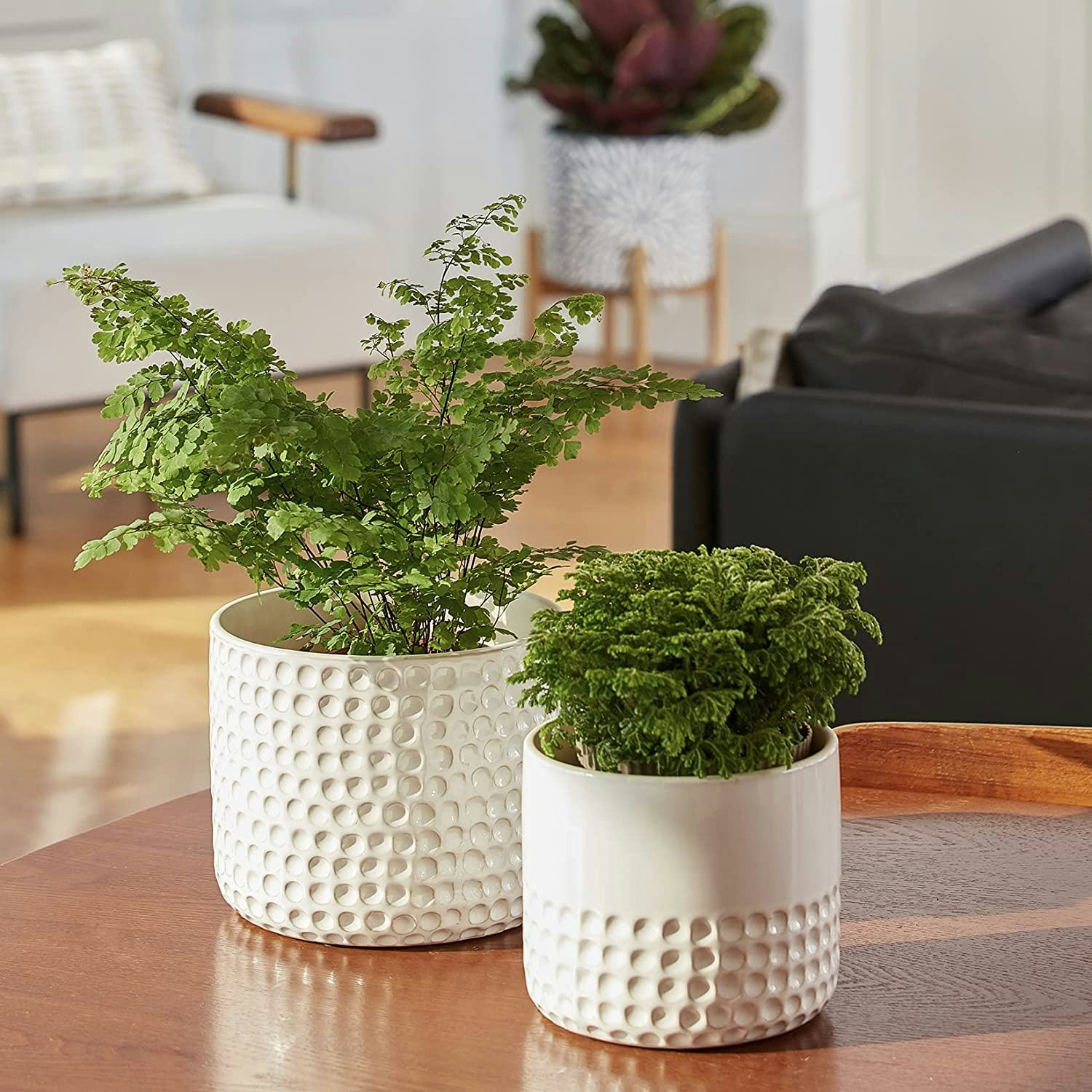 La Jolie Muse Ceramic Planter (2-Pack)