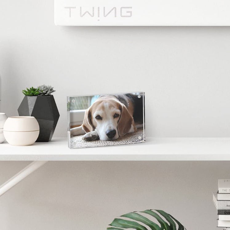 TWING Acrylic Frame 