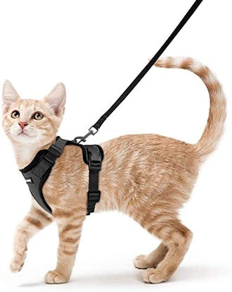 vest-style escape-proof cat harness with lots of reviews