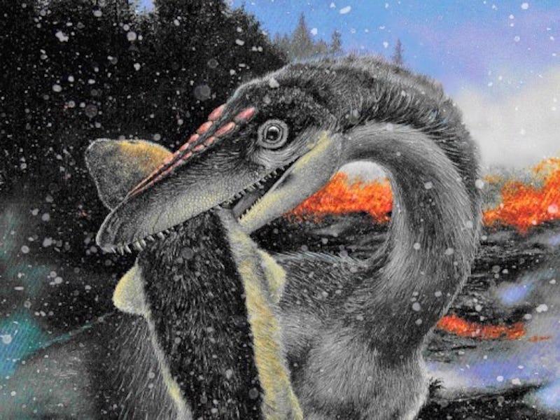 A new study says dinosaurs survived because they were already adapted to freezing conditions at high...