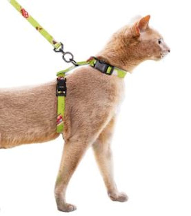 escape proof harness in adorable designs