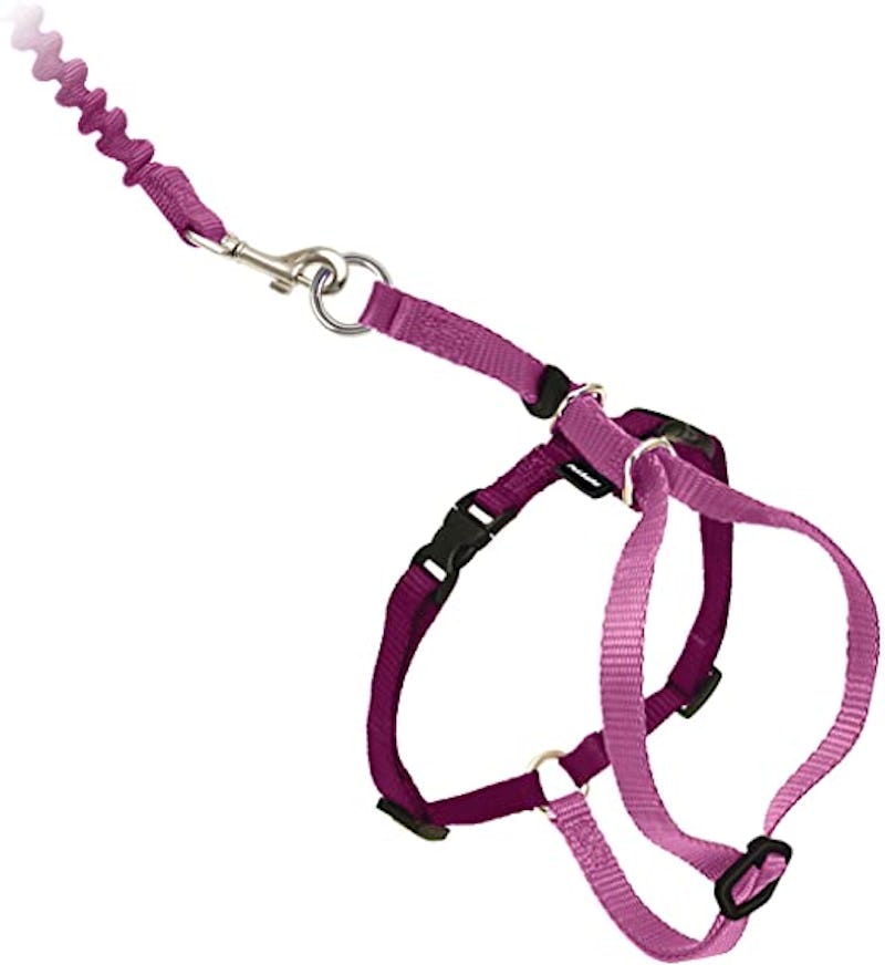 Kitten Harness And Leash Pet Supplies Rabbitgoo Cat Harness And