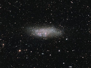 The dwarf galaxy Wolf-Lundmark-Melotte (WLM). The darkness of the universe surrounds what looks like...