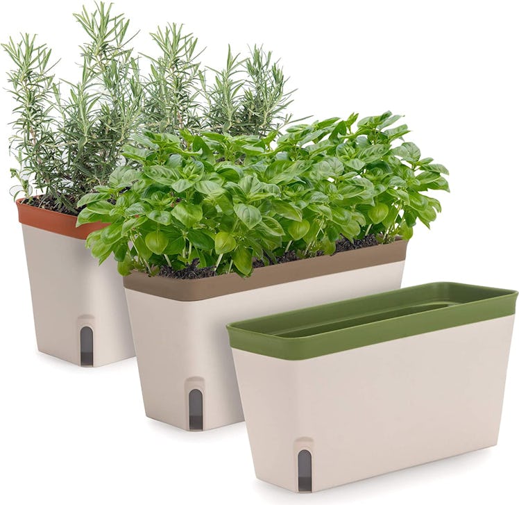 Amazing Creation Window Herb Planter Box (3-Pack)