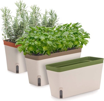 Amazing Creation Window Herb Planter Box (3-Pack)