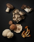 黑色背景上的各种蘑菇。