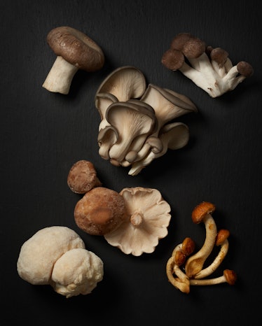 各式各样的蘑菇在黑色背景。