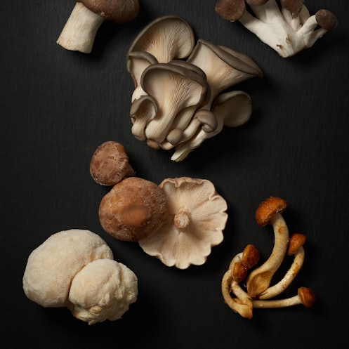 An assortment of mushrooms on black background.