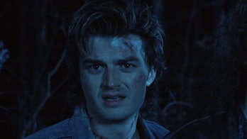 Joe Keery as Steve Harrington 