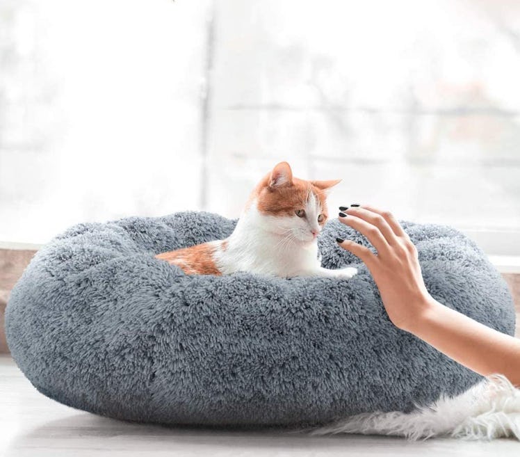 Active Pets Plush Calming Bed