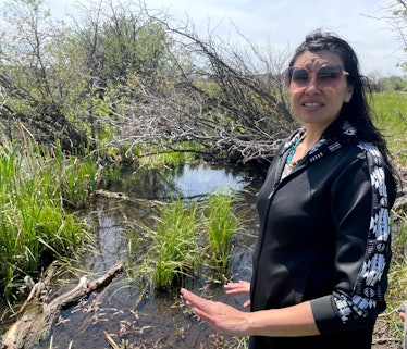 Blackfeet researcher Souta Calling Last surveys wetlands that serve as a watering holes for deer, el...
