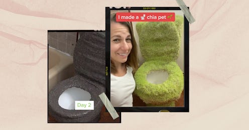 On TikTok, the latest home decor trend involves mixing chia seeds and water to turn furniture and ho...