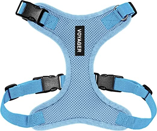 The 8 Best EscapeProof Cat Harnesses