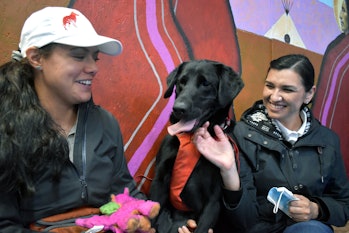 Michele Vasquez (left) and researcher Souta Calling Last sit with Charlie, a Lab trained to detect s...