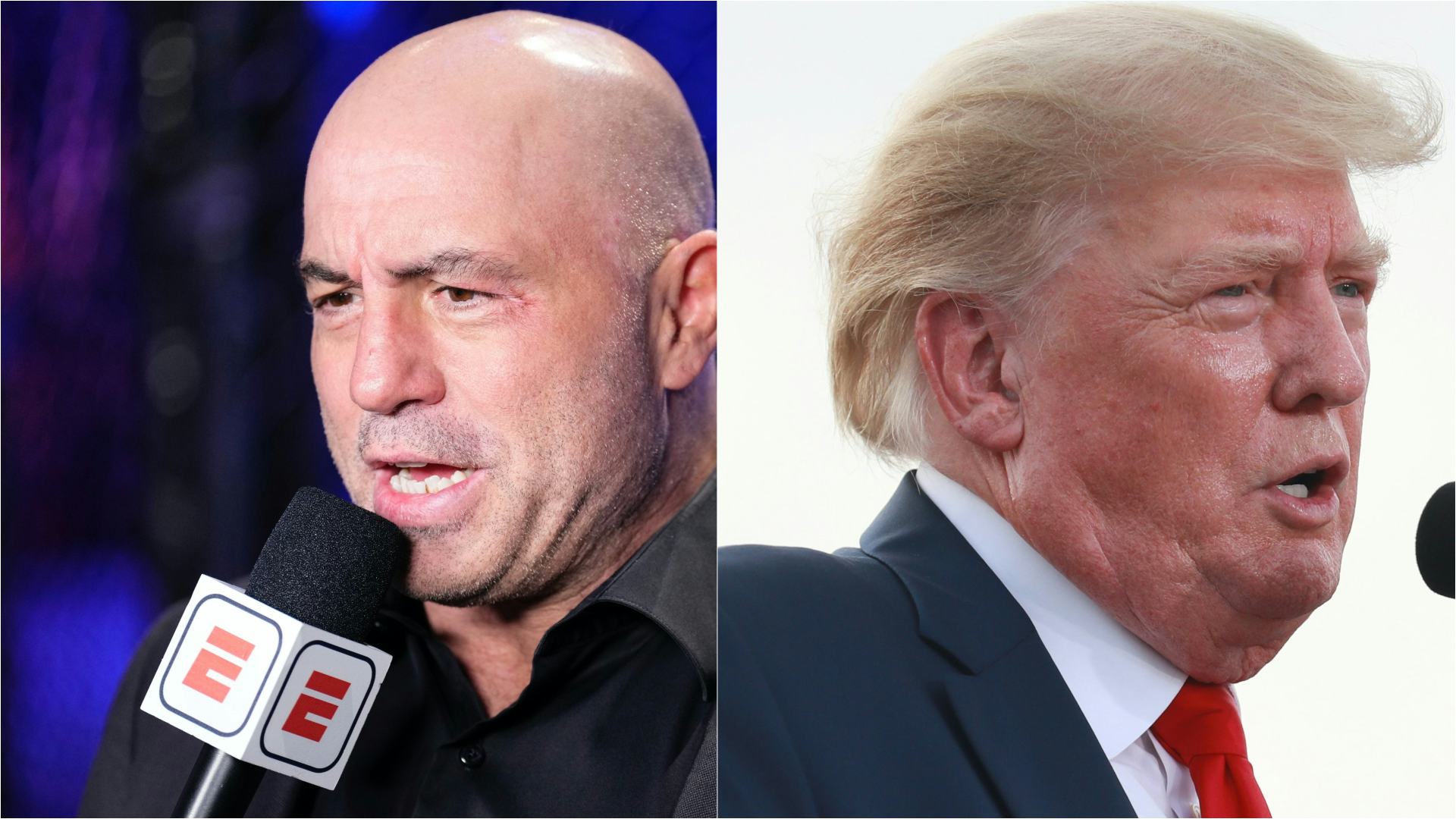 Joe Rogan Claims He Refused To Interview Trump