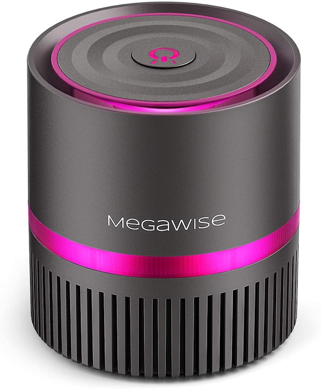 MEGAWISE H13 True HEPA Air Purifier