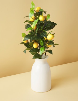 HomeGoods artificial lemon tree