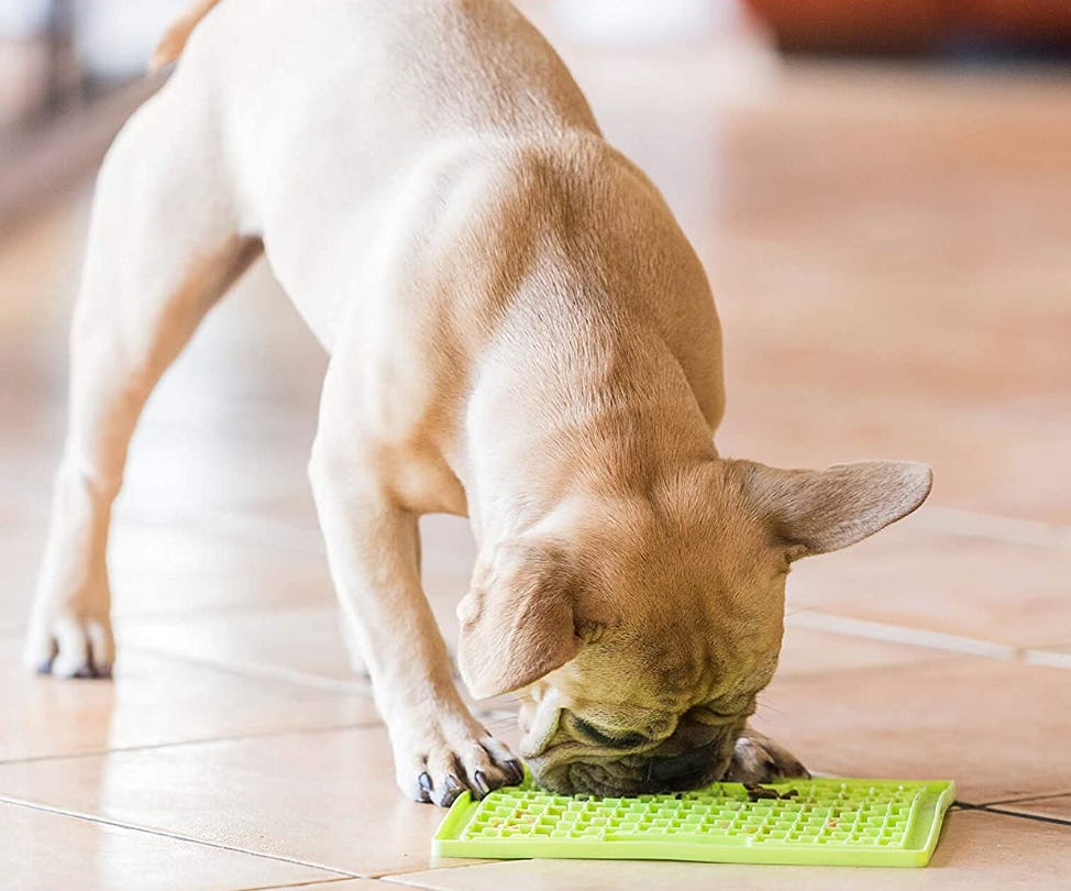 Lickimat Slow Feeder (2-Pack)